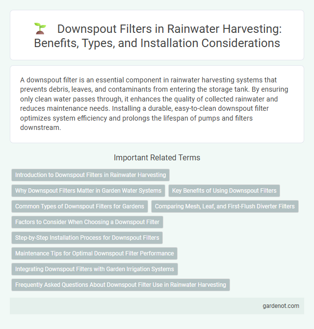 Downspout Filters in Rainwater Harvesting: Benefits, Types, and Installation Considerations