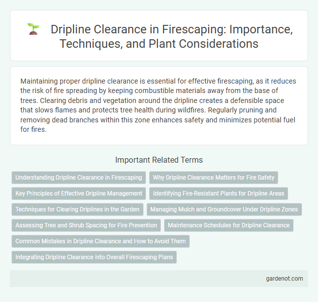 Dripline Clearance in Firescaping: Importance, Techniques, and Plant Considerations