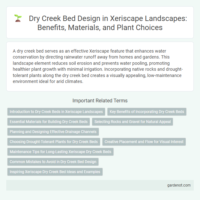Dry Creek Bed Design in Xeriscape Landscapes: Benefits, Materials, and Plant Choices