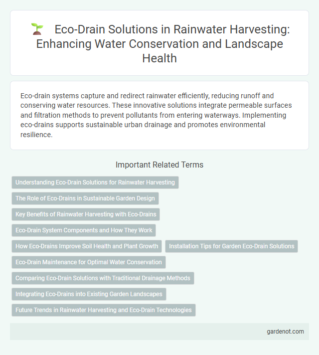 Eco-Drain Solutions in Rainwater Harvesting: Enhancing Water Conservation and Landscape Health