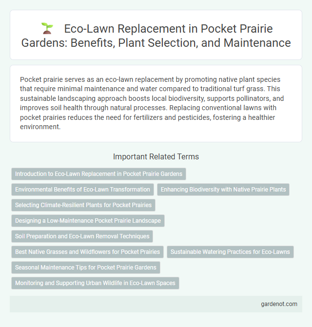Eco-Lawn Replacement in Pocket Prairie Gardens: Benefits, Plant Selection, and Maintenance