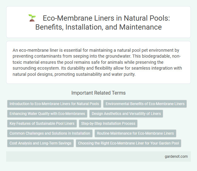 Eco-Membrane Liners in Natural Pools: Benefits, Installation, and Maintenance