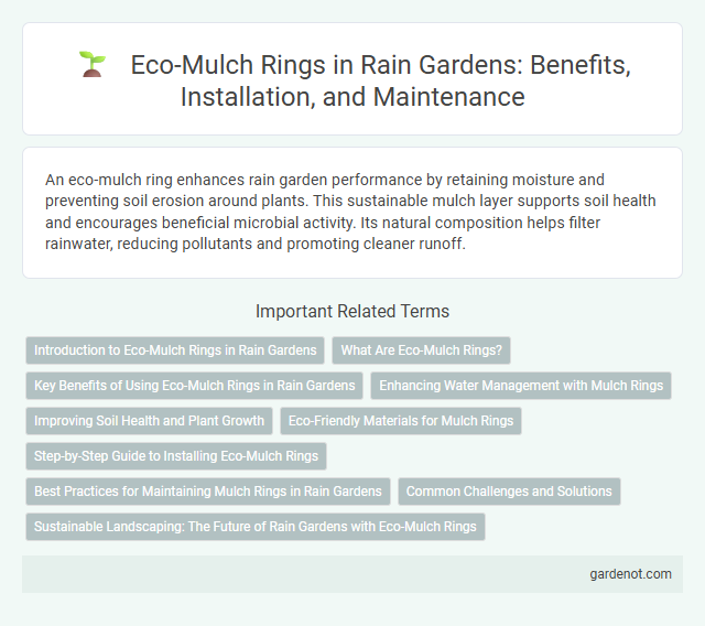 Eco-Mulch Rings in Rain Gardens: Benefits, Installation, and Maintenance
