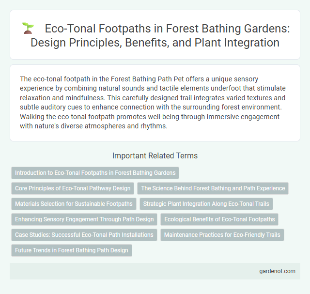 Eco-Tonal Footpaths in Forest Bathing Gardens: Design Principles, Benefits, and Plant Integration