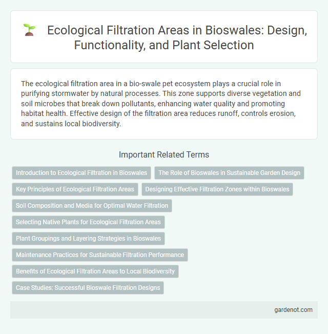 Ecological Filtration Areas in Bioswales: Design, Functionality, and Plant Selection