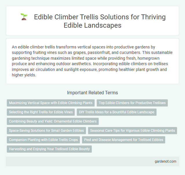 Edible Climber Trellis Solutions for Thriving Edible Landscapes