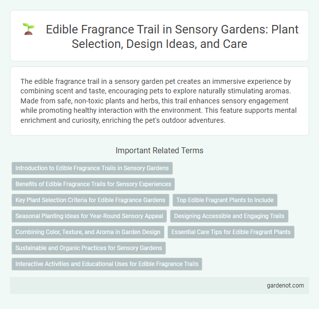 Edible Fragrance Trail in Sensory Gardens: Plant Selection, Design Ideas, and Care