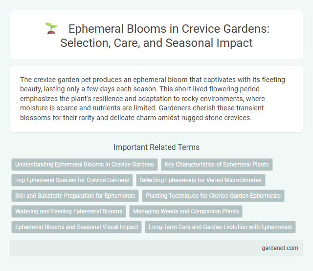 Ephemeral Blooms in Crevice Gardens: Selection, Care, and Seasonal Impact