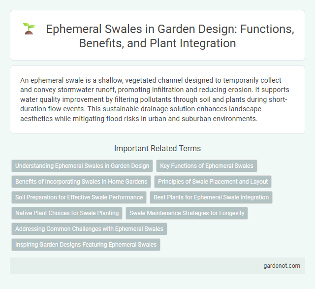 Ephemeral Swales in Garden Design: Functions, Benefits, and Plant Integration