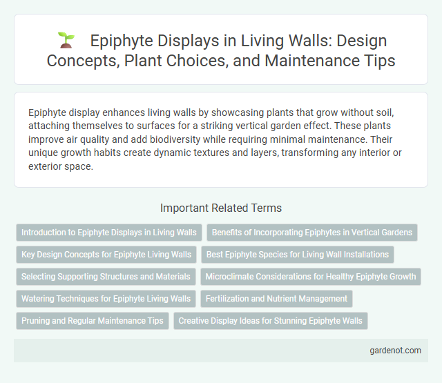 Epiphyte Displays in Living Walls: Design Concepts, Plant Choices, and Maintenance Tips