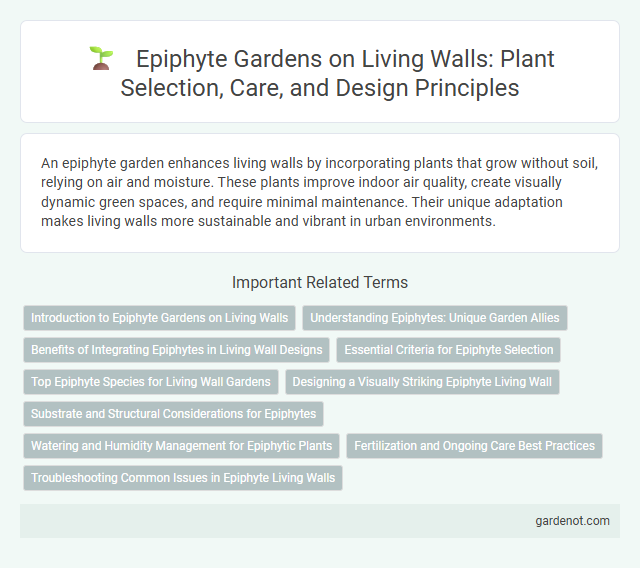 Epiphyte Gardens on Living Walls: Plant Selection, Care, and Design Principles