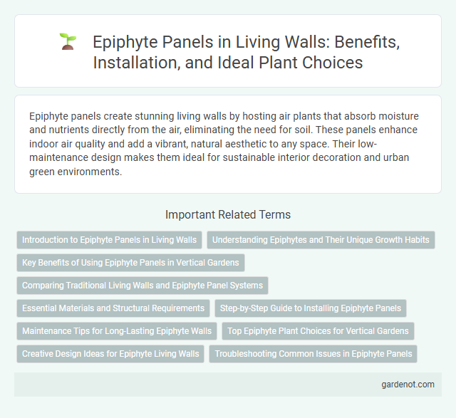 Epiphyte Panels in Living Walls: Benefits, Installation, and Ideal Plant Choices