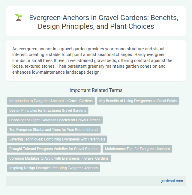 Evergreen Anchors in Gravel Gardens: Benefits, Design Principles, and Plant Choices