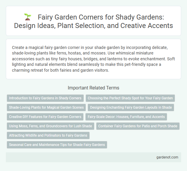 Fairy Garden Corners for Shady Gardens: Design Ideas, Plant Selection, and Creative Accents