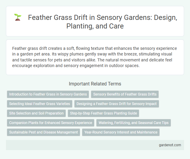 Feather Grass Drift in Sensory Gardens: Design, Planting, and Care