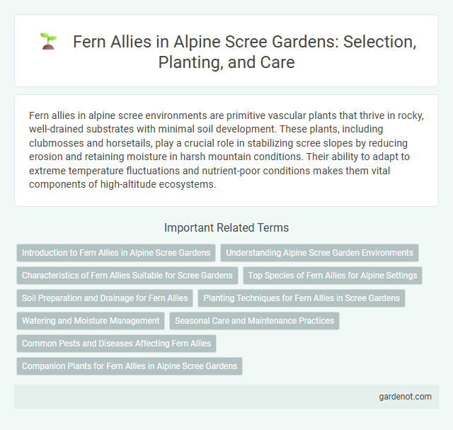 Fern Allies in Alpine Scree Gardens: Selection, Planting, and Care