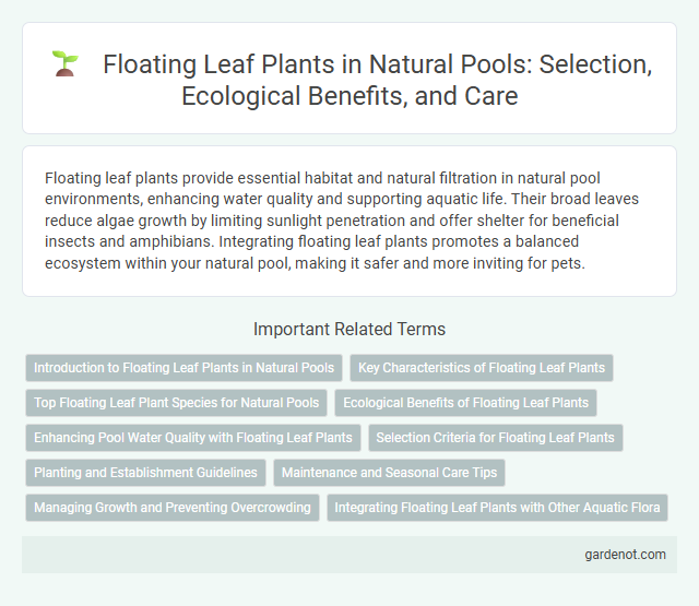 Floating Leaf Plants in Natural Pools: Selection, Ecological Benefits, and Care