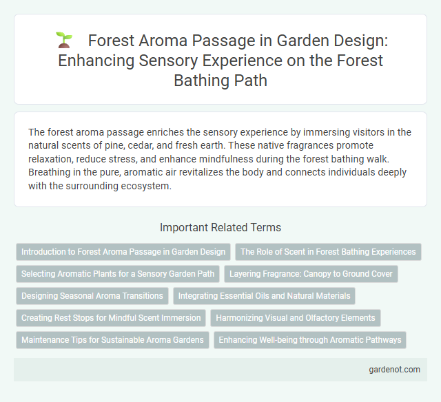 Forest Aroma Passage in Garden Design: Enhancing Sensory Experience on the Forest Bathing Path