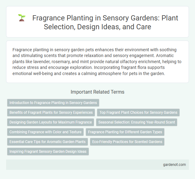 Fragrance Planting in Sensory Gardens: Plant Selection, Design Ideas, and Care