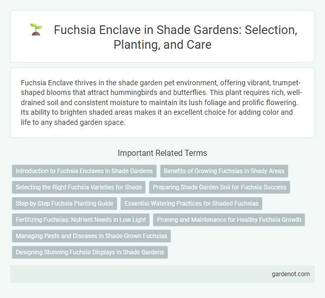 Fuchsia Enclave in Shade Gardens: Selection, Planting, and Care