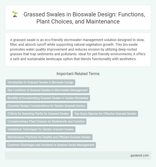 Grassed Swales in Bioswale Design: Functions, Plant Choices, and Maintenance