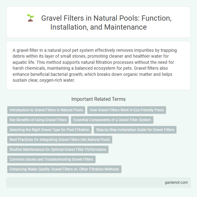 Gravel Filters in Natural Pools: Function, Installation, and Maintenance