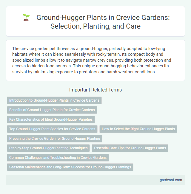 Ground-Hugger Plants in Crevice Gardens: Selection, Planting, and Care