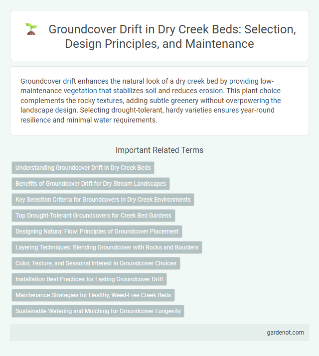 Groundcover Drift in Dry Creek Beds: Selection, Design Principles, and Maintenance