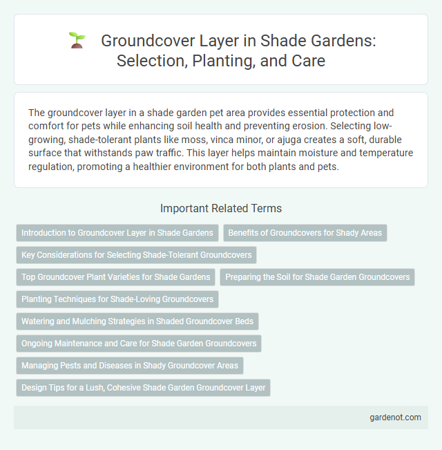 Groundcover Layer in Shade Gardens: Selection, Planting, and Care