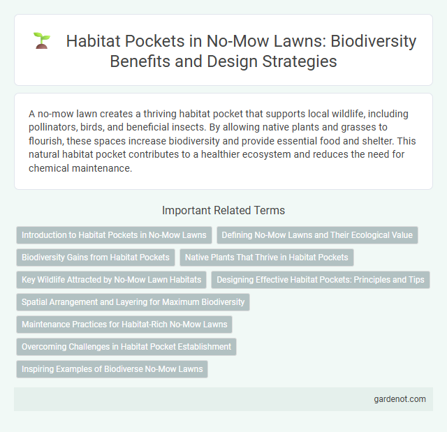 Habitat Pockets in No-Mow Lawns: Biodiversity Benefits and Design Strategies