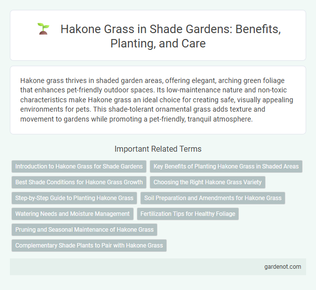 Hakone Grass in Shade Gardens: Benefits, Planting, and Care