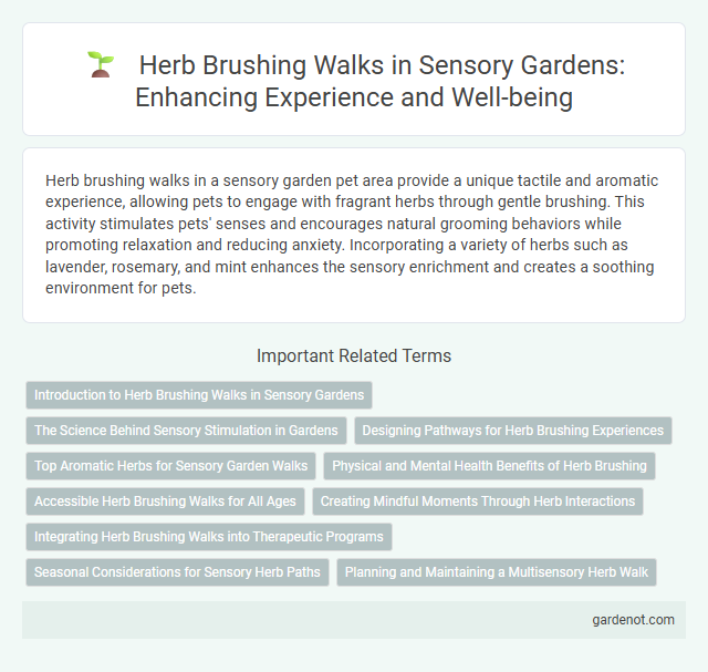 Herb Brushing Walks in Sensory Gardens: Enhancing Experience and Well-being