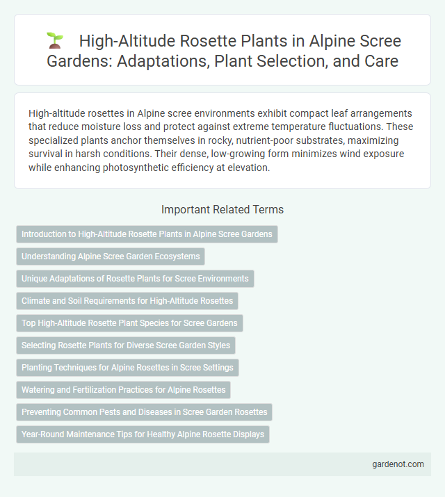 High-Altitude Rosette Plants in Alpine Scree Gardens: Adaptations, Plant Selection, and Care