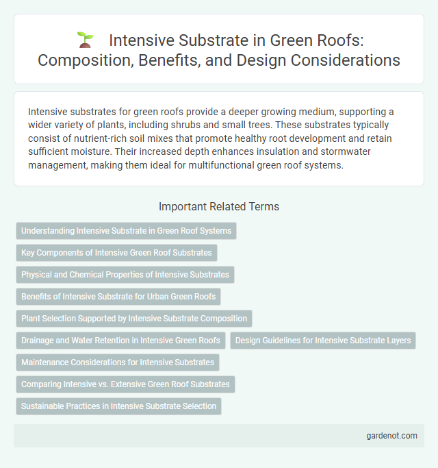 Intensive Substrate in Green Roofs: Composition, Benefits, and Design Considerations