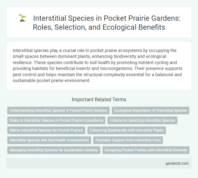 Interstitial Species in Pocket Prairie Gardens: Roles, Selection, and Ecological Benefits