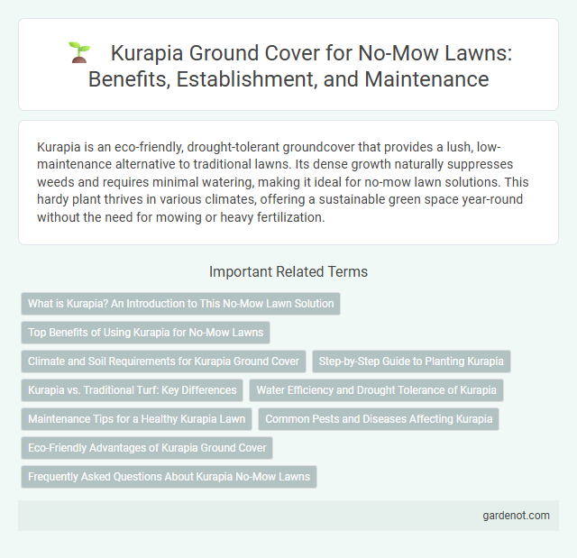 Kurapia Ground Cover for No-Mow Lawns: Benefits, Establishment, and Maintenance
