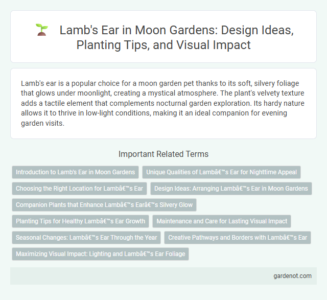 Lamb's Ear in Moon Gardens: Design Ideas, Planting Tips, and Visual Impact