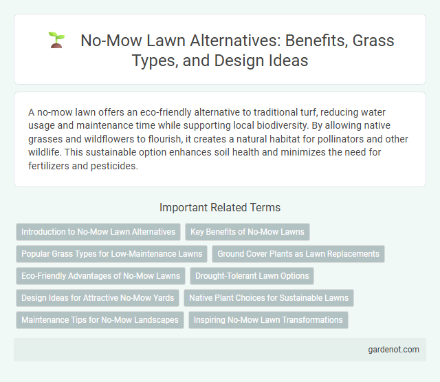 No-Mow Lawn Alternatives: Benefits, Grass Types, and Design Ideas