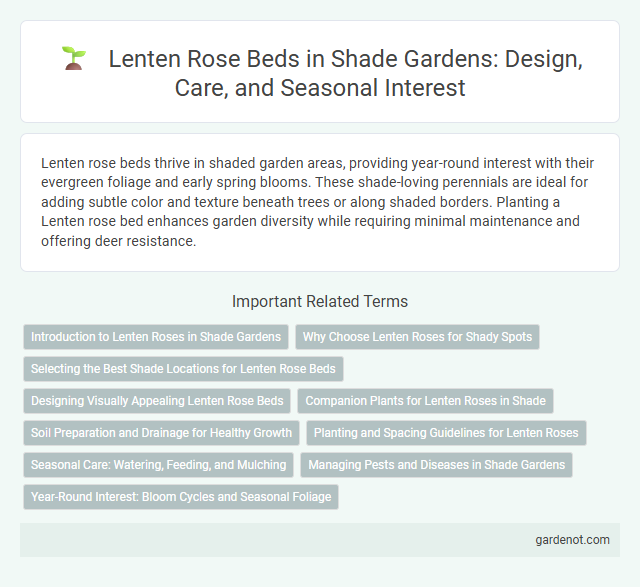 Lenten Rose Beds in Shade Gardens: Design, Care, and Seasonal Interest