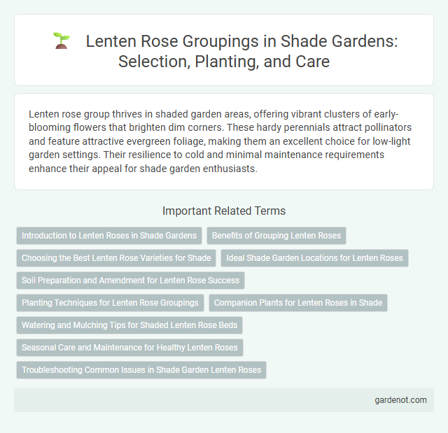 Lenten Rose Groupings in Shade Gardens: Selection, Planting, and Care
