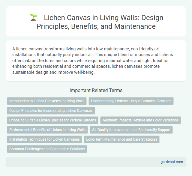 Lichen Canvas in Living Walls: Design Principles, Benefits, and Maintenance