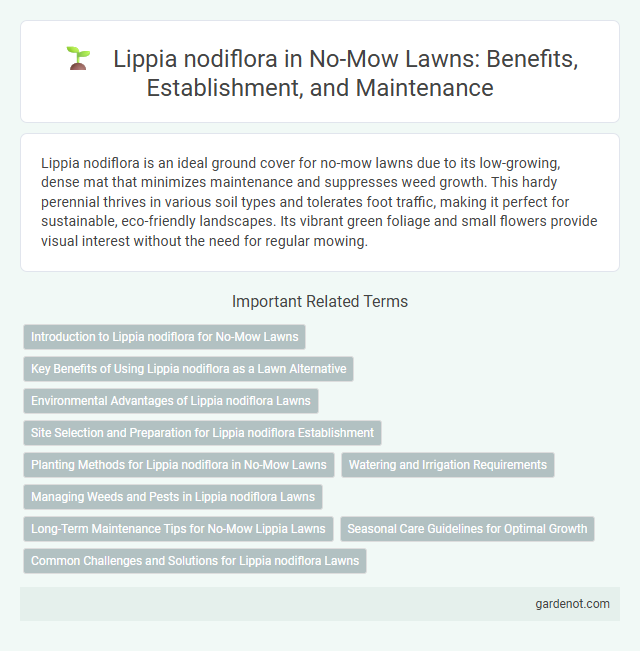 Lippia nodiflora in No-Mow Lawns: Benefits, Establishment, and Maintenance