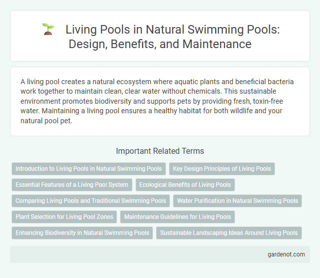 Living Pools in Natural Swimming Pools: Design, Benefits, and Maintenance