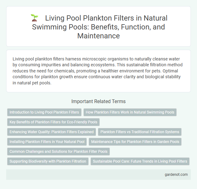 Living Pool Plankton Filters in Natural Swimming Pools: Benefits, Function, and Maintenance