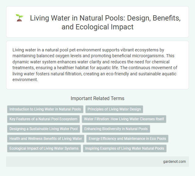 Living Water in Natural Pools: Design, Benefits, and Ecological Impact