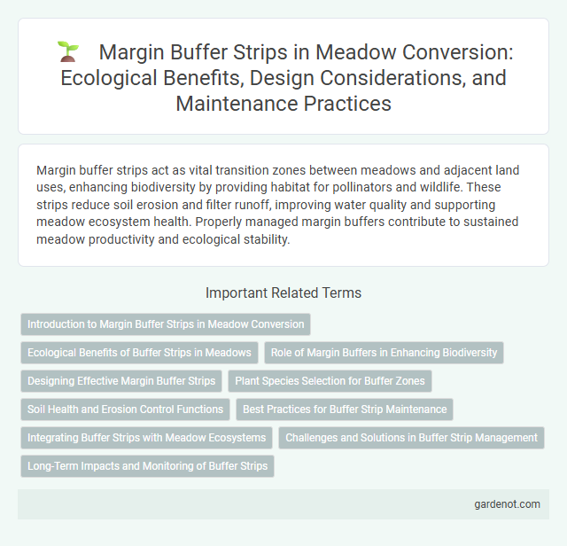 Margin Buffer Strips in Meadow Conversion: Ecological Benefits, Design Considerations, and Maintenance Practices