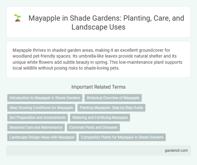 Mayapple in Shade Gardens: Planting, Care, and Landscape Uses