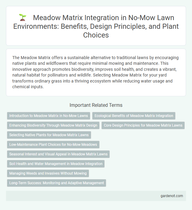 Meadow Matrix Integration in No-Mow Lawn Environments: Benefits, Design Principles, and Plant Choices