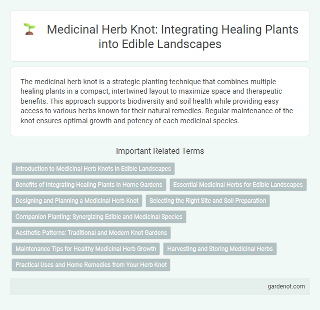 Medicinal Herb Knot: Integrating Healing Plants into Edible Landscapes