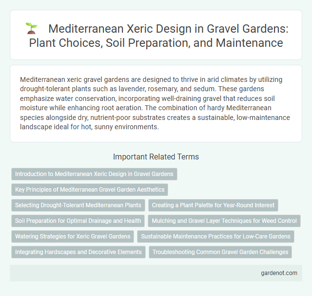 Mediterranean Xeric Design in Gravel Gardens: Plant Choices, Soil Preparation, and Maintenance